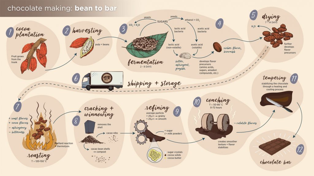 bean to bar chocolate business plan